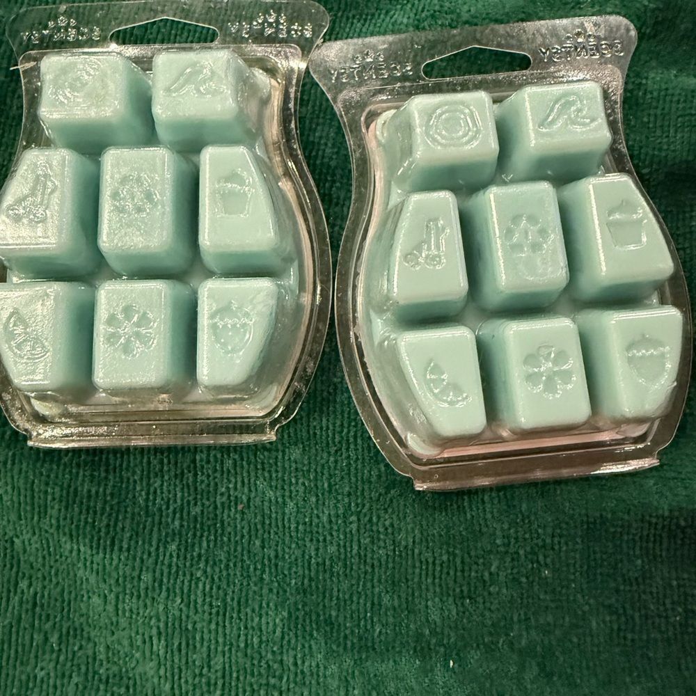 SCENTSY WAX BARS SET OF 2 PACIFIC MIST